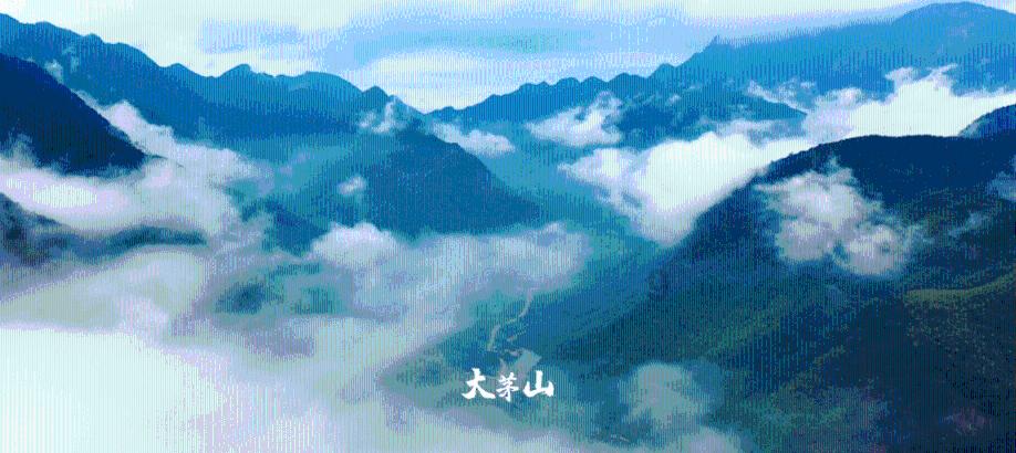 发现有趣内容,尽在什么原因让你学会了做饭?红迪网